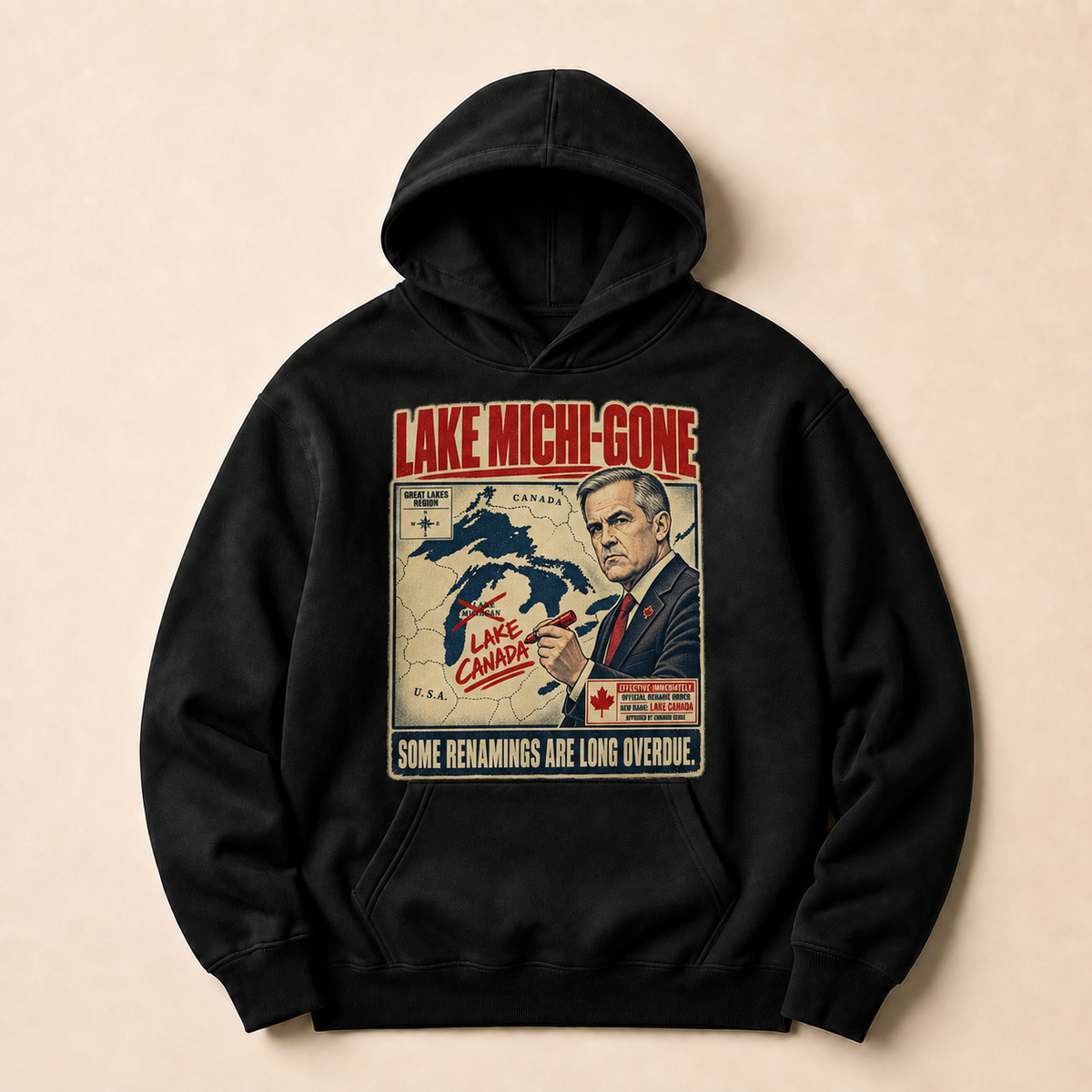 Coal | Lake Michi-gone Hoodie, product shot 1.