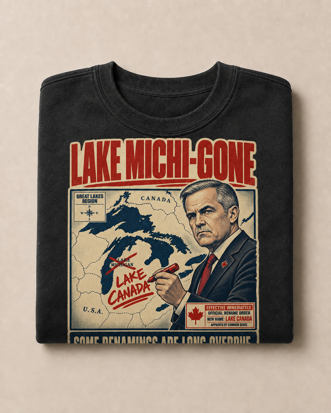 Coal | Lake Michi-gone Crewneck, product shot 3.