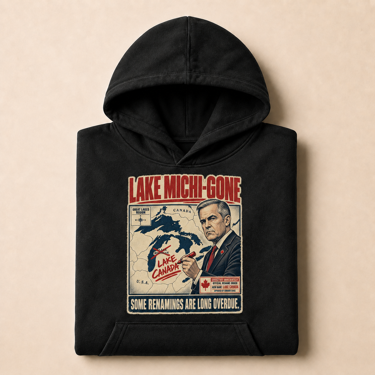 Coal | Lake Michi-gone Hoodie, product shot 3.