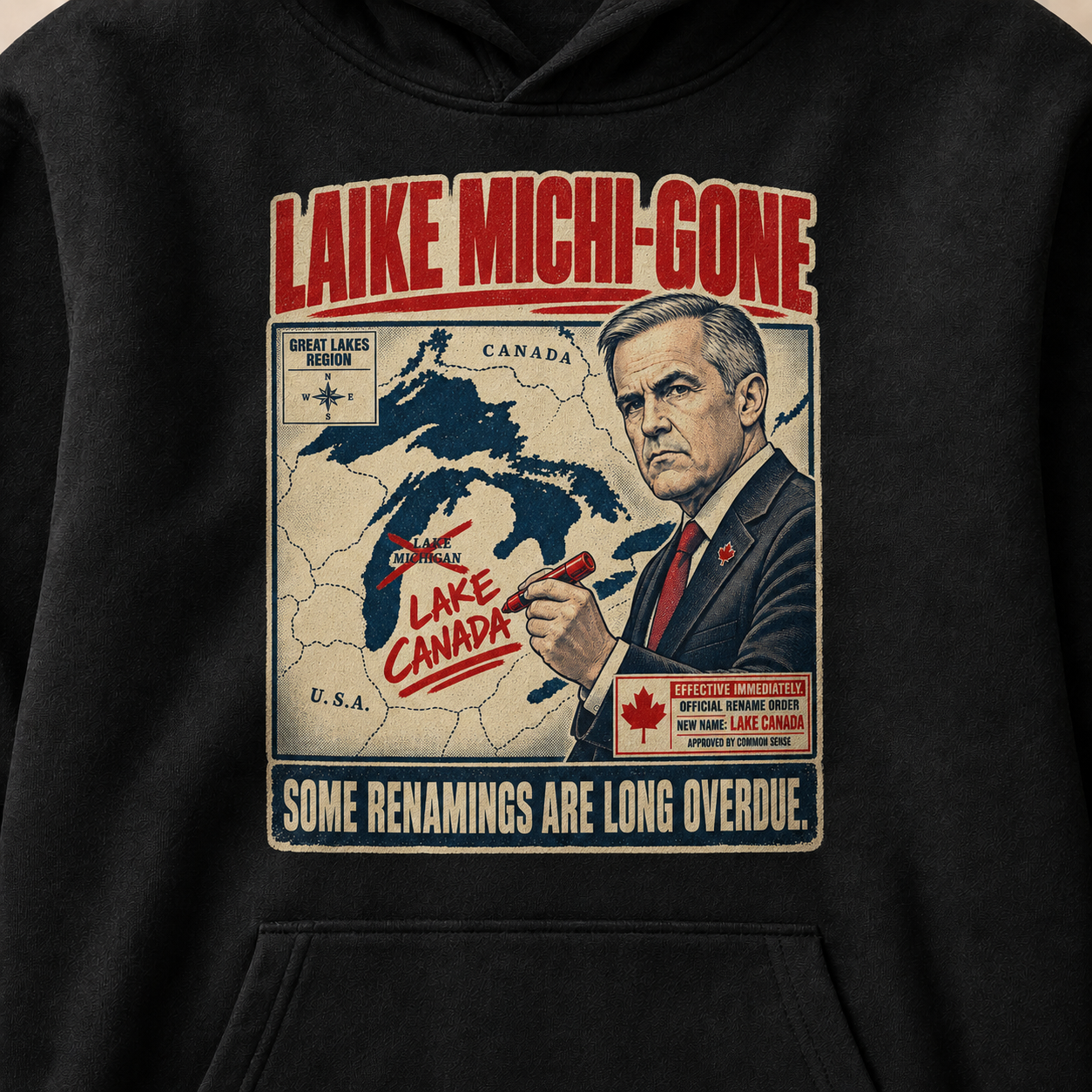 Coal | Lake Michi-gone Hoodie, product shot 4.
