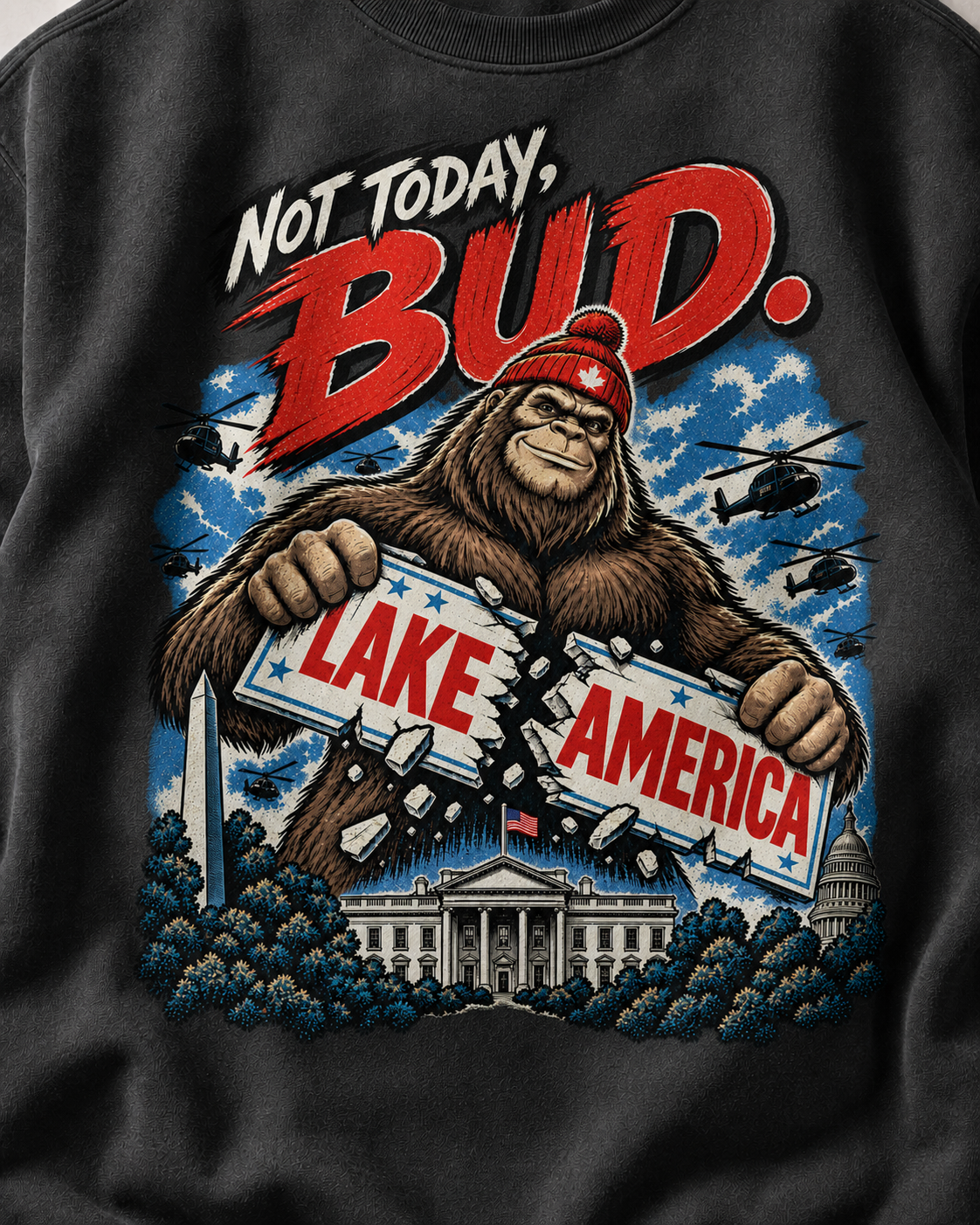 Coal | Not Today Bud Crewneck, product shot 4.