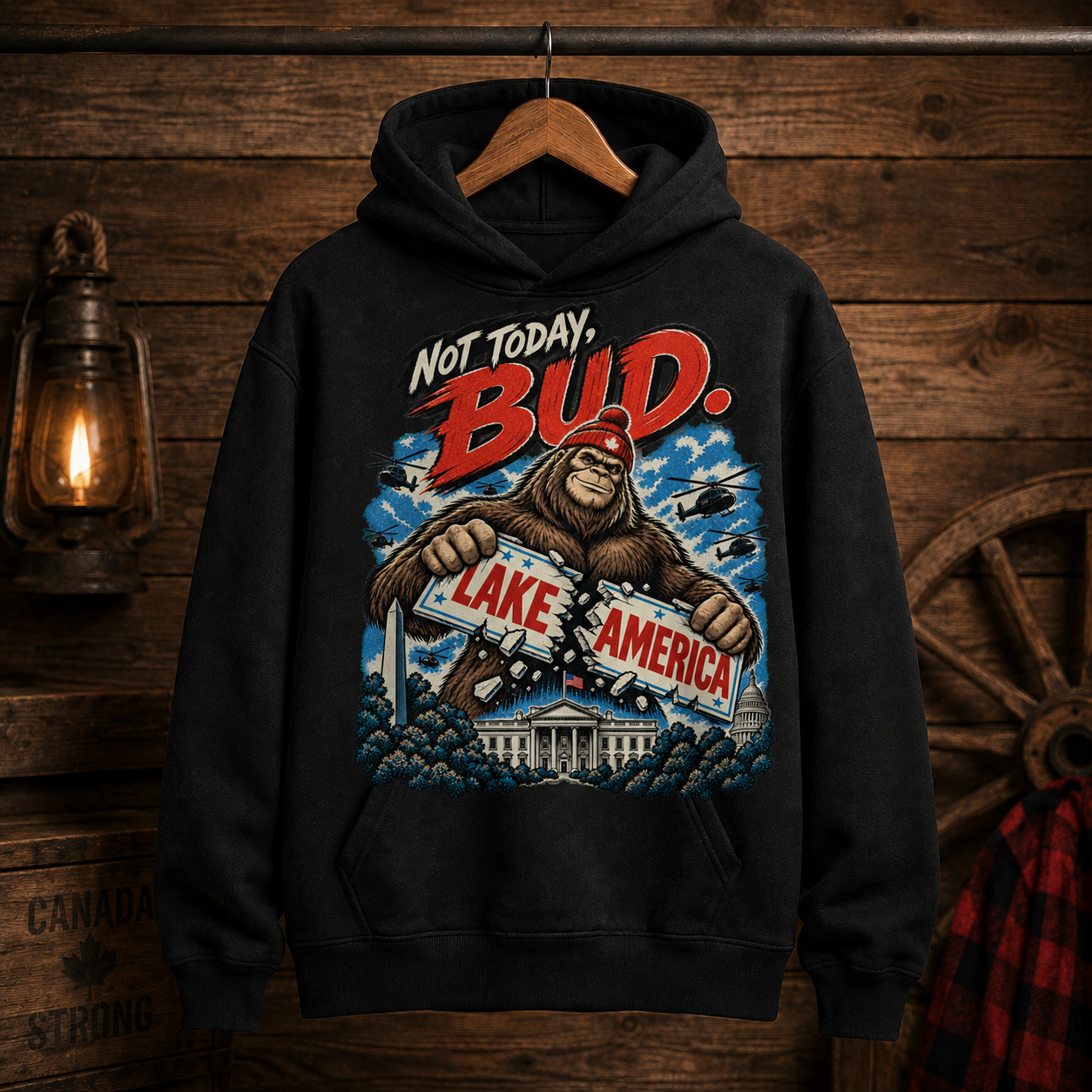 Coal | Not Today Bud Hoodie, product shot 2.