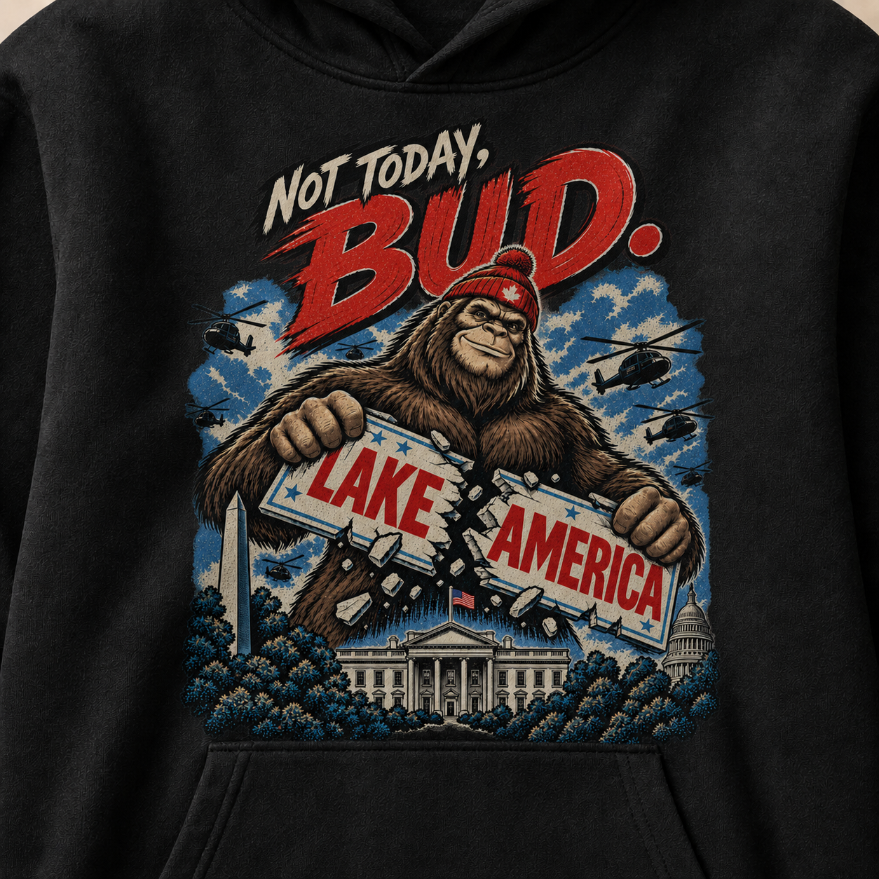 Coal | Not Today Bud Hoodie, product shot 4.